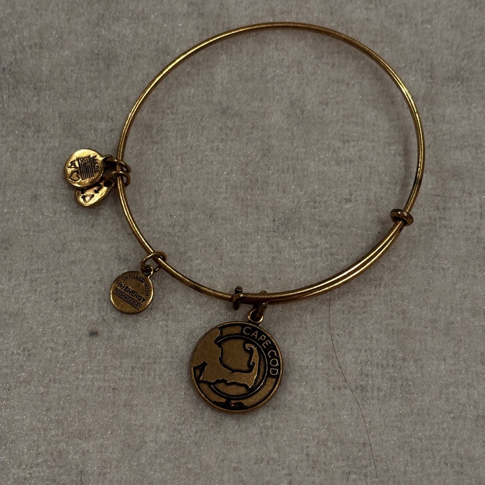 Alex and ani bangle bracelet